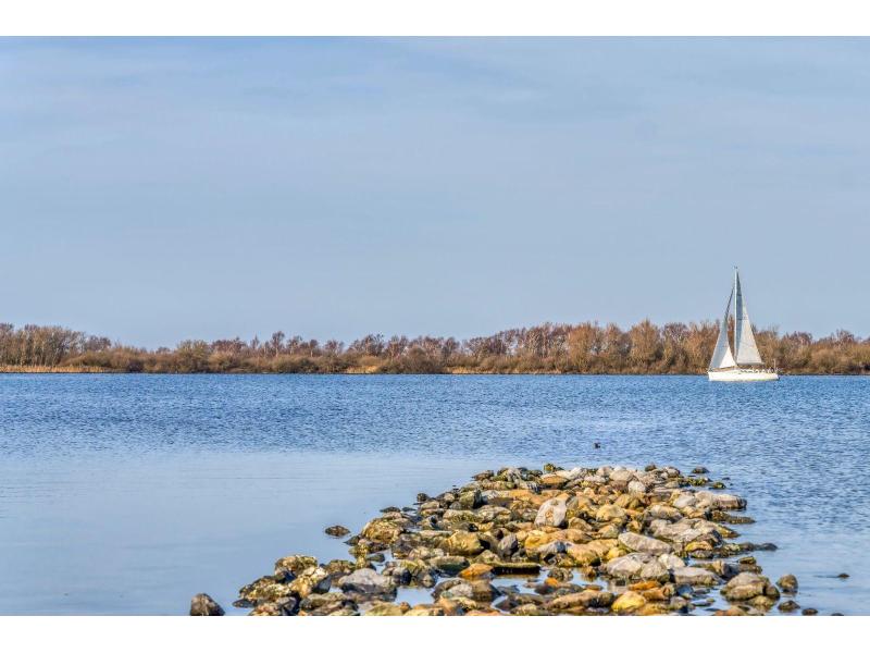 Brouwershaven, Pholas 12 - Image 34