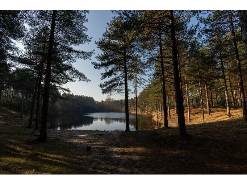 Westenschouwen, De Zonnehoek - Image 23