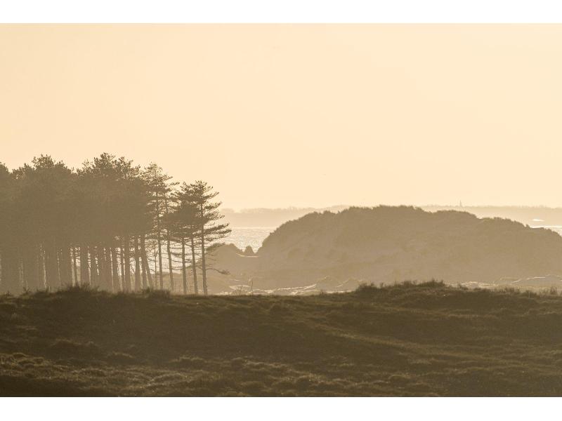 Westenschouwen, De Zonnehoek - Image 26