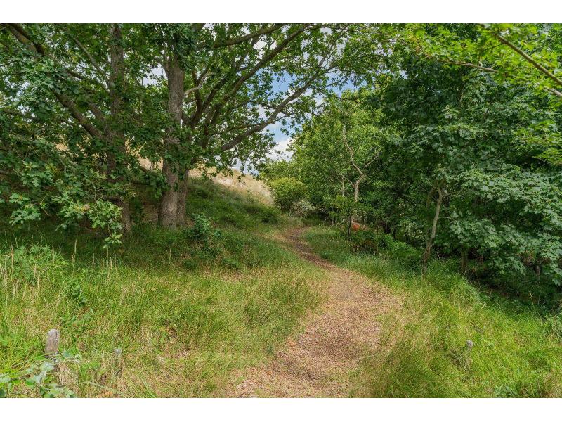 Burgh-Haamstede, Zeeduin 29 - Image 26